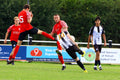 Pitch-Side Advertising Board